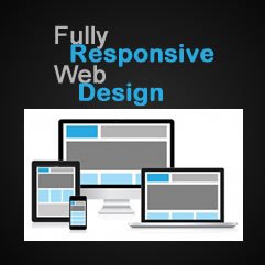 Our web design services